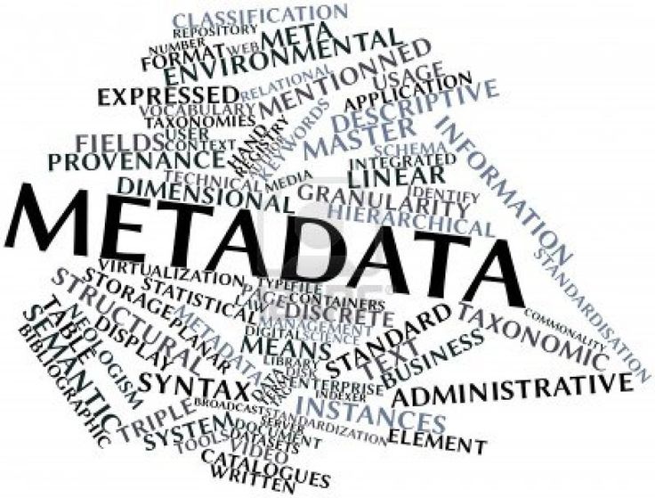 Metadatos.
